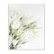 Stupell Industries White & Green Bright Natural Flower Photograph Wall Plaque
